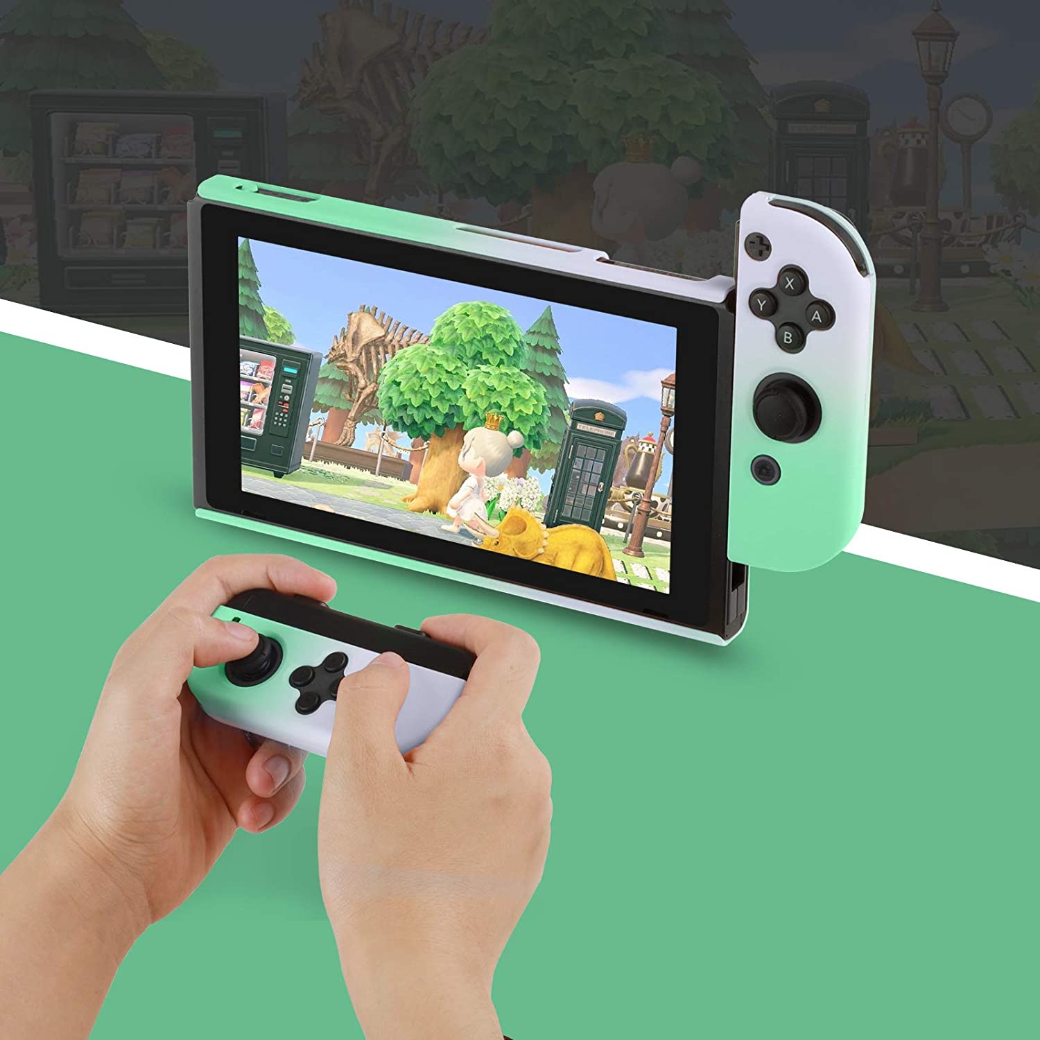 Taovaonl Switch Case (Purple and Green)