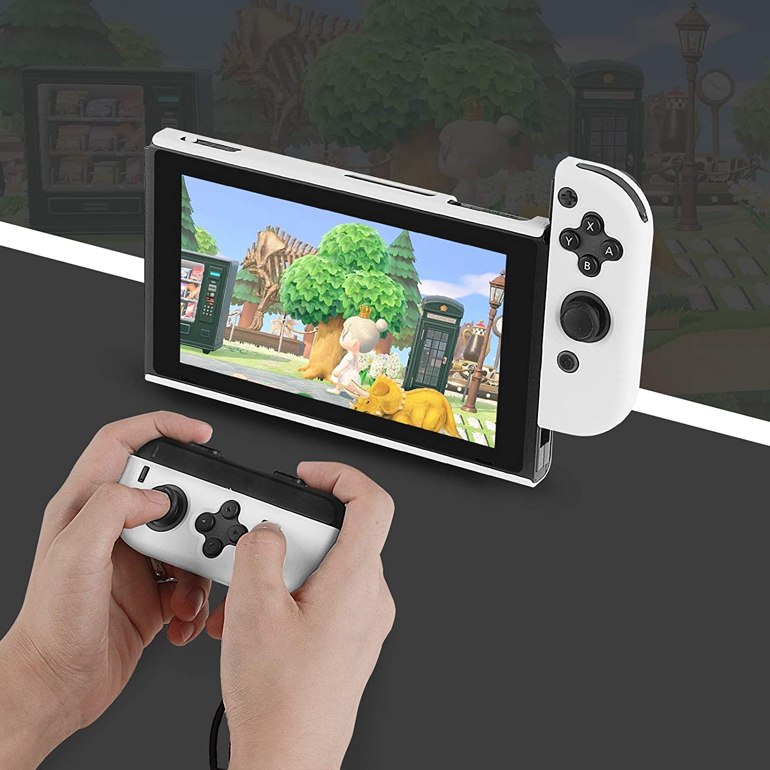 Taovaonl Switch Case (White)